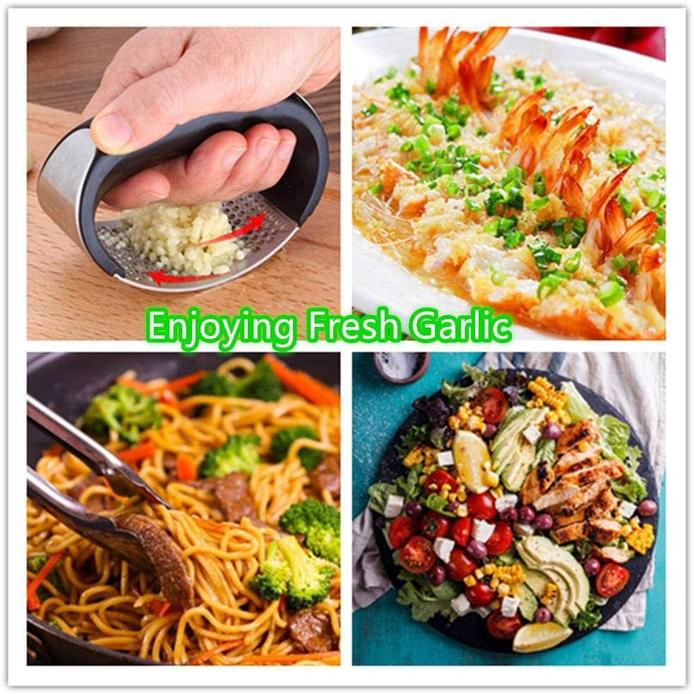 Garlic Press Rocker Stainless Steel, Garlic Mincer Garlic Chopper Garlic Presser Clove Crusher Masher Mincing Kitchen Pounding Tool